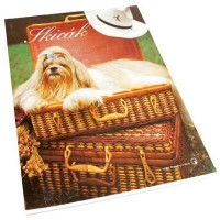 Skicák A4 blok 20ls